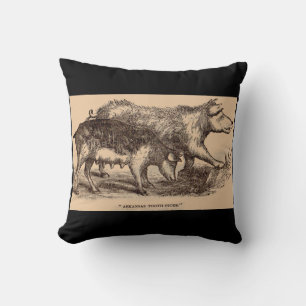19th century farm animal print pigs cushion