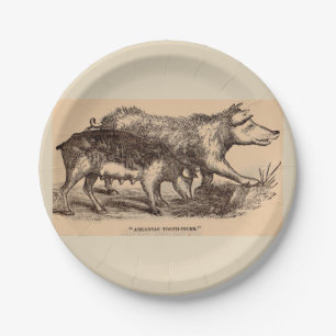 19th century farm animal print pigs paper plate