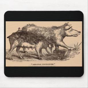 19th century farm animal print pigs print mouse mat