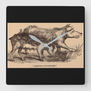 19th century farm animal print pigs print square wall clock