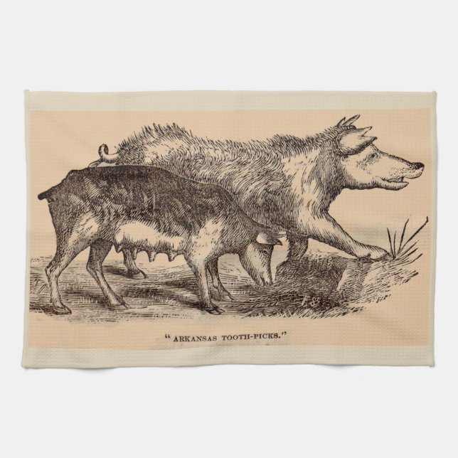 19th century farm animal print pigs tea towel (Horizontal)