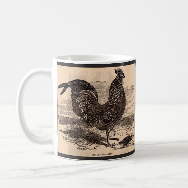 19th century Gallus Sonneratii rooster print Coffee Mug (Left)