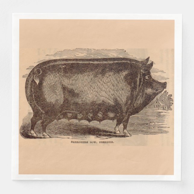 19th century pig print Berkshire sow no. 1 Napkin (Front)