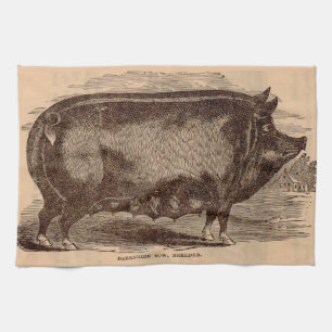 19th century pig print Berkshire sow no. 1 Tea Towel