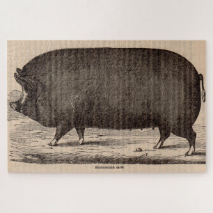 19th century pig print Berkshire sow no. 2 Jigsaw Puzzle