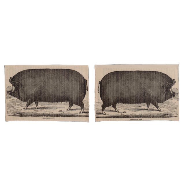 19th century pig print Berkshire sow no. 2 Pillowcase (Front-Set)