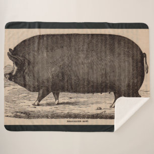 19th century pig print Berkshire sow no. 2 Sherpa Blanket