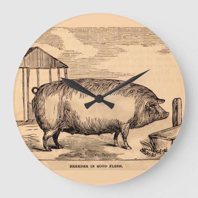 19th century pig print ‘Breeder in Good Flesh’ Large Clock (Front)