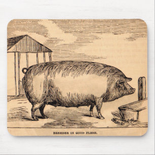 19th century pig print ‘Breeder in Good Flesh’ Mouse Mat