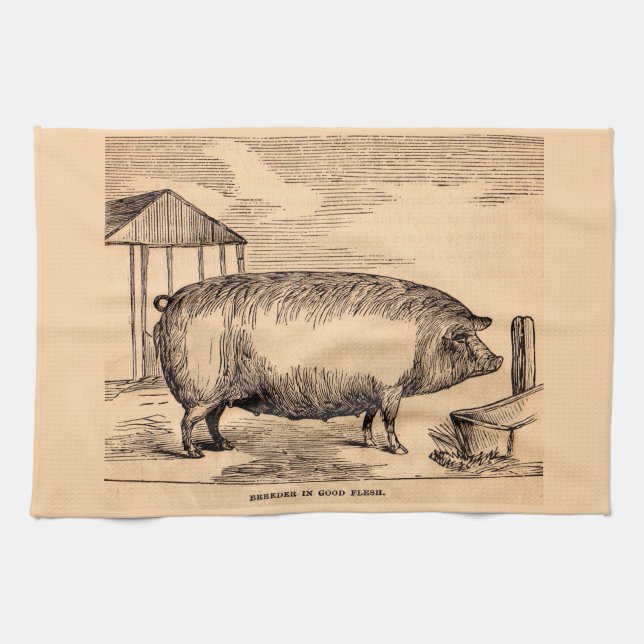 19th century pig print ‘Breeder in Good Flesh’ Tea Towel (Horizontal)
