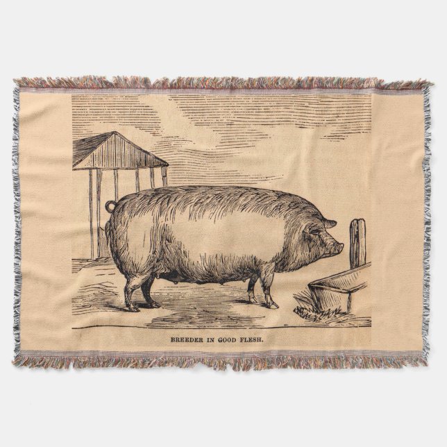 19th century pig print ‘Breeder in Good Flesh’ Throw Blanket (Front)
