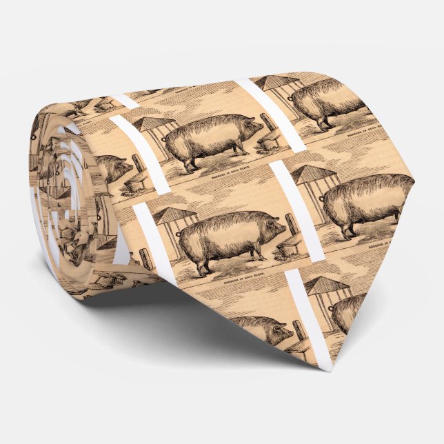 19th century pig print ‘Breeder in Good Flesh’ Tie (Rolled)
