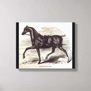 19th century print An English Roadster horse