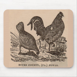 19th century print Bucks County fowls chickens Mouse Mat