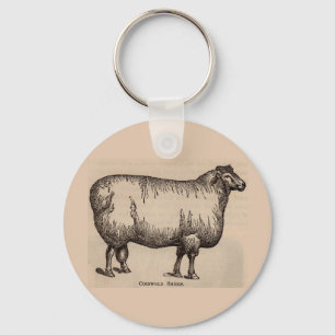 19th century print Cotswold sheep Key Ring