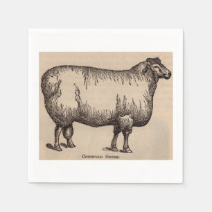 19th century print Cotswold sheep Napkin