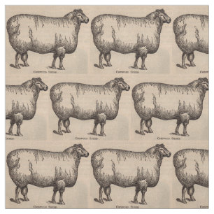 19th century print Cotswold sheep print Fabric
