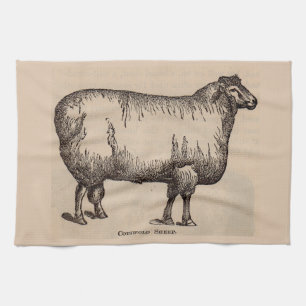 19th century print Cotswold sheep Tea Towel