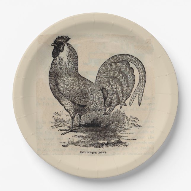 19th century print dominique fowl paper plate (Front)