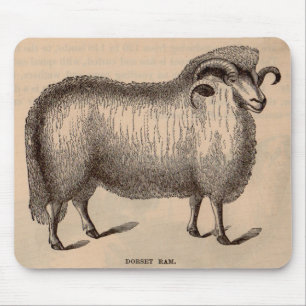 19th century print Dorset ram Mouse Mat
