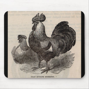 19th century print grey English dorkings chickens Mouse Mat
