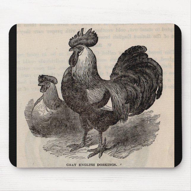 19th century print grey English dorkings chickens Mouse Mat (Front)
