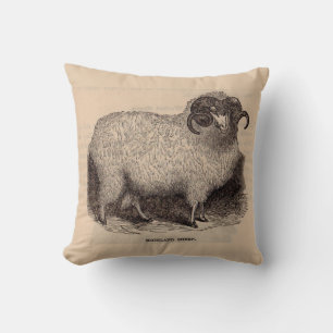 19th century print Highland sheep Cushion