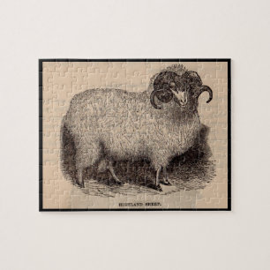 19th century print Highland sheep Jigsaw Puzzle