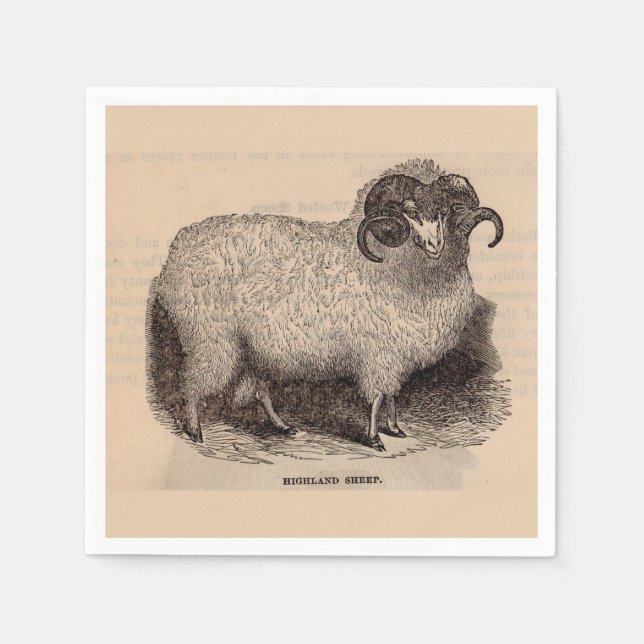19th century print Highland sheep Napkin (Front)