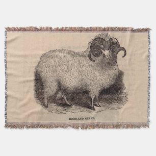 19th century print Highland sheep Throw Blanket