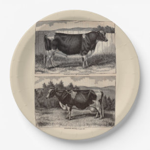 19th century print Holstein bull and heifer Paper Plate