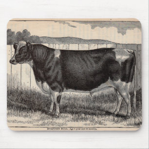 19th century print Holstein bull Mouse Mat