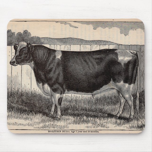 19th century print Holstein bull Mouse Mat (Front)