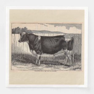 19th century print Holstein bull Napkin