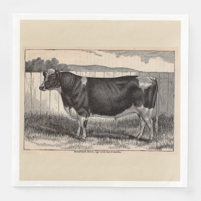 19th century print Holstein bull Napkin (Front)