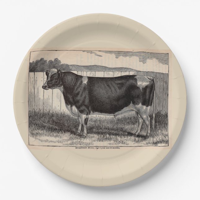 19th century print Holstein bull print Paper Plate (Front)