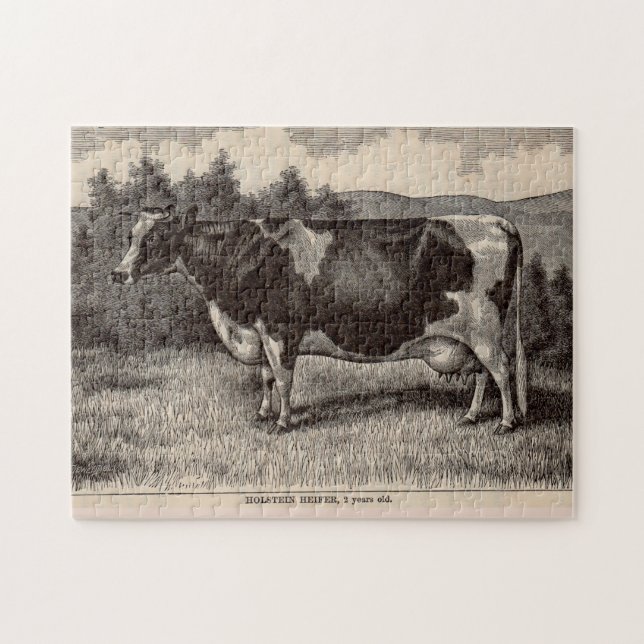 19th century print Holstein heifer Jigsaw Puzzle (Horizontal)