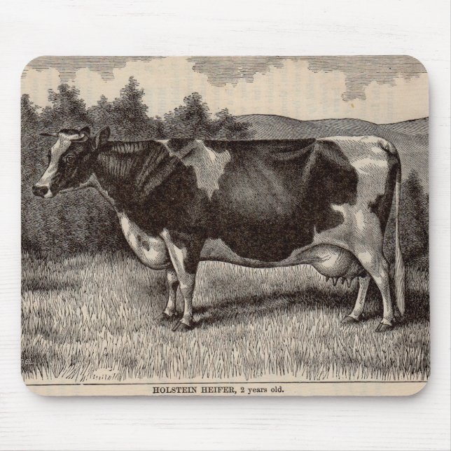 19th century print Holstein heifer Mouse Mat (Front)