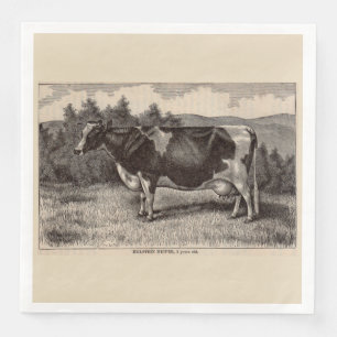 19th century print Holstein heifer Napkin