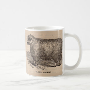 19th century print yearling Cotswold sheep Coffee Mug