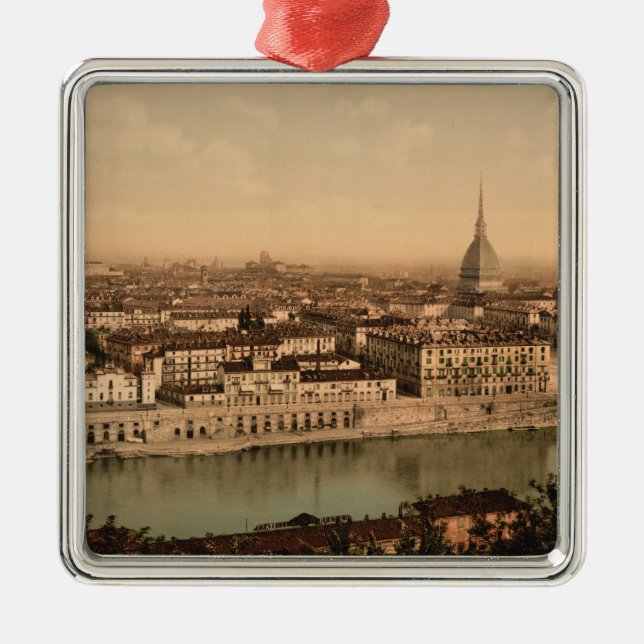 19th Century Turin , Piedmont, Italy Metal Tree Decoration (Front)