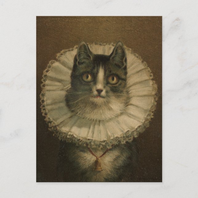 19th Century Vintage Cat Painting Postcard (Front)