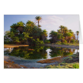 1,000,000 Years B.C.