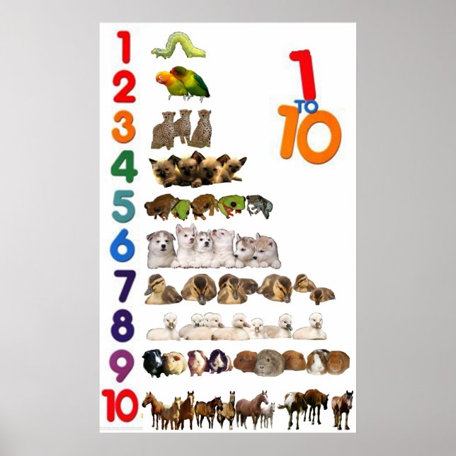 1 - 10 Numbers Poster (Front)