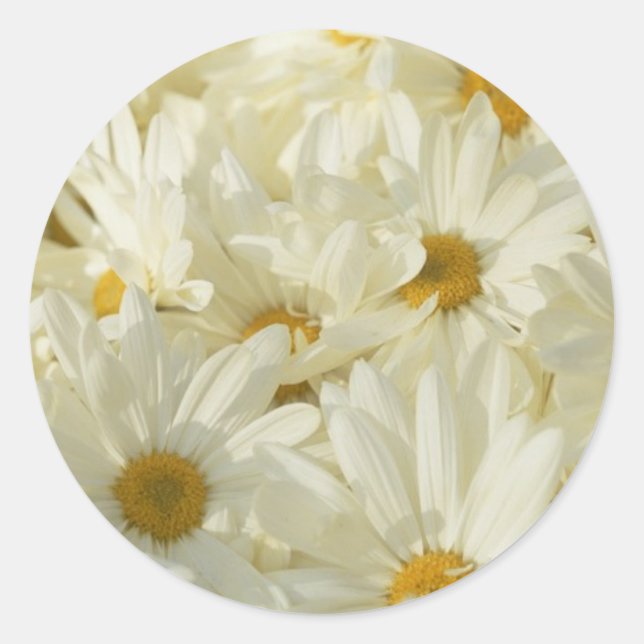 1 1/2 Inch Round Daisy Stickers (Front)