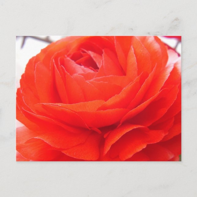 1 4 You Postcard (Front)