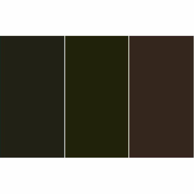 1/8" Acrylic Magnet 12070501 Photo Sculpture Magnet (Front)