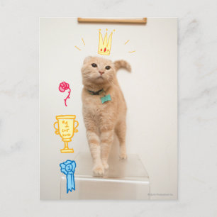 #1 Cat Postcard
