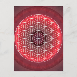 1 Chakra Flower of Life red Postcard