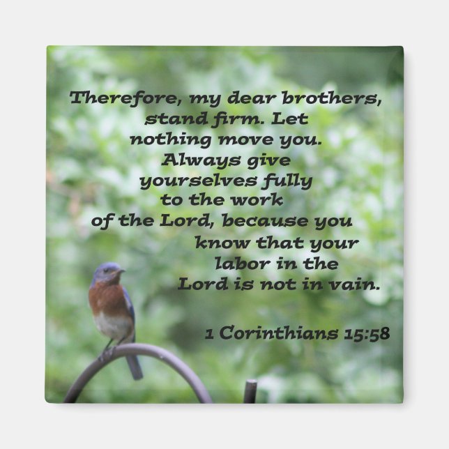 1 Corinthians 15:58 Magnet (Front)